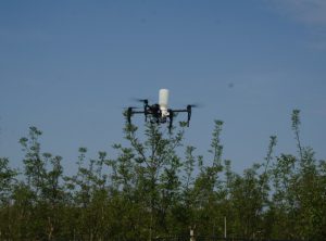 Distribuzione Polveri con drone