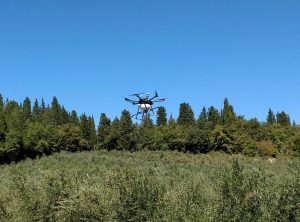 Impollinazione artificiale con drone