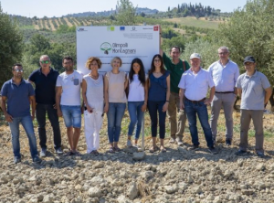 Progetto Gruppo Olimpolli Montagnani